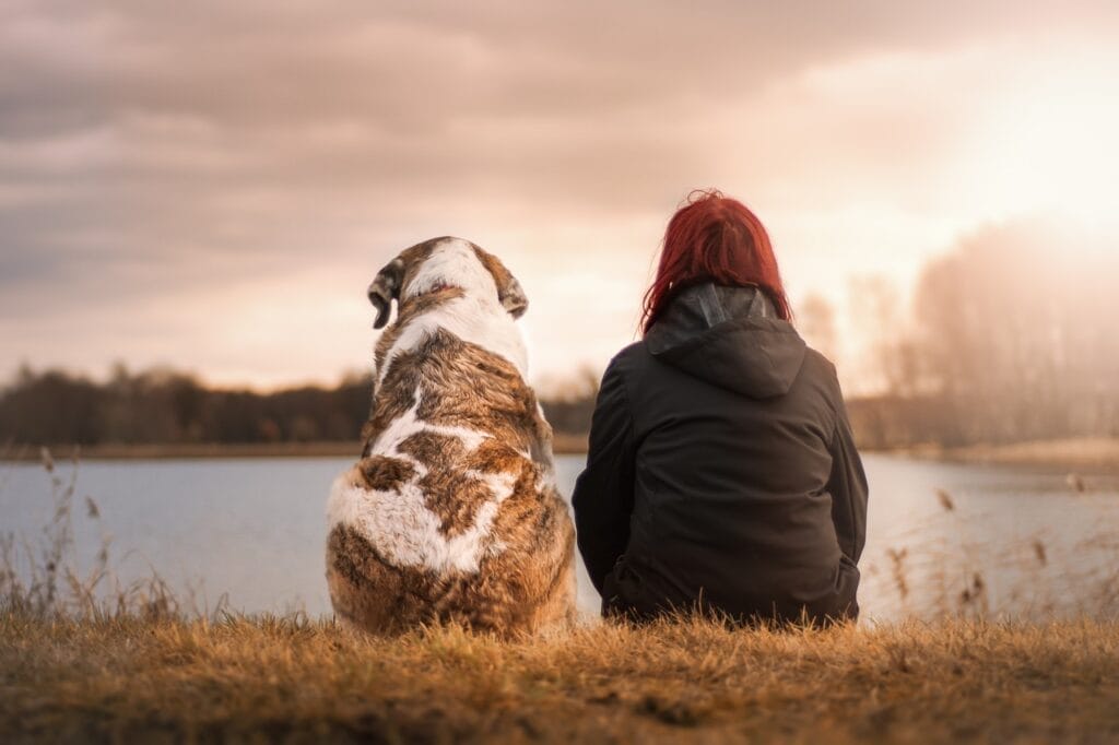 Woman and dog are sitting down and looking at a lake.