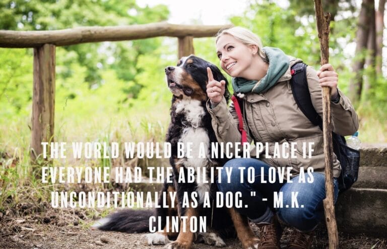 The world would be a nicer place if everyone had the ability to love as unconditionally as a dog.