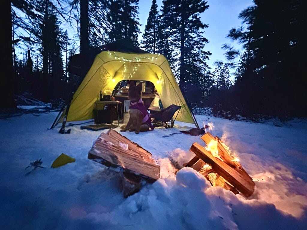 Campfire in the snow with a German Shepherd dog sitting underneath a yellow awning.