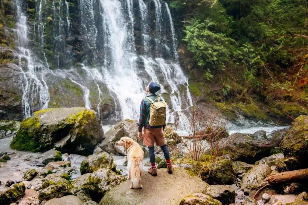 Rear view of man standing with dog against waterfall.