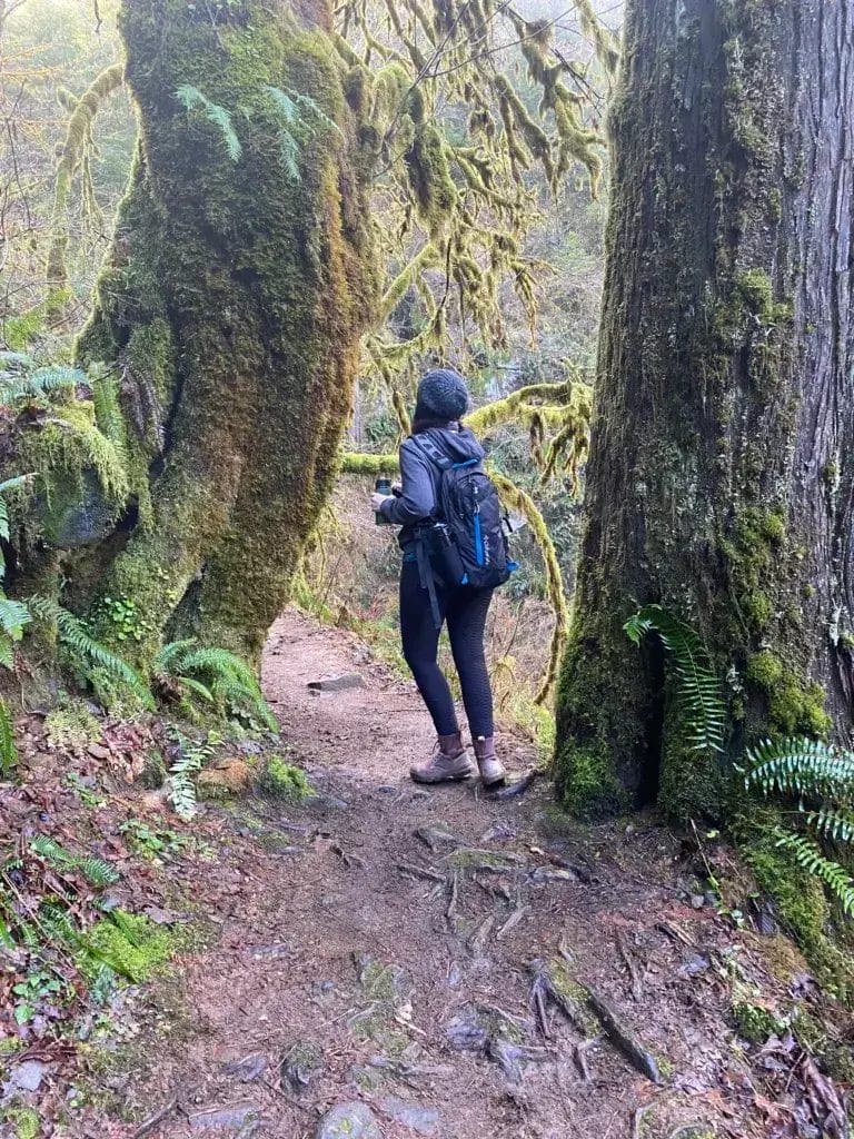 Woman on a hike standing between two old growth trees in the forest.
