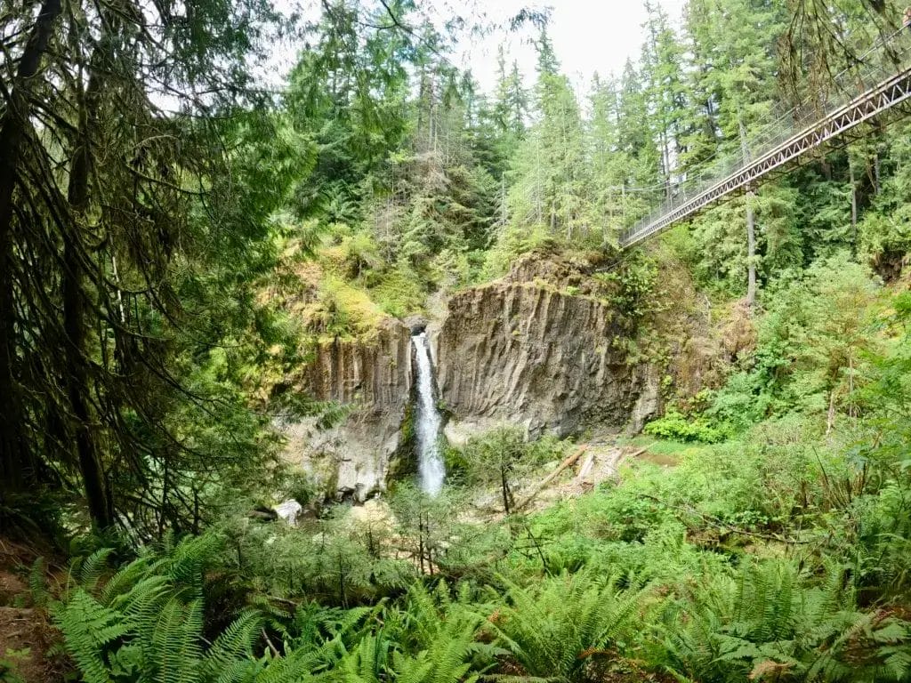 Drift Creek Falls waterfall and suspension bridge.