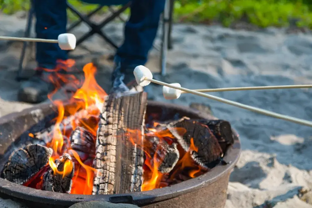 Young Adults Roasting Marshmallows Over Outdoor Campfire
