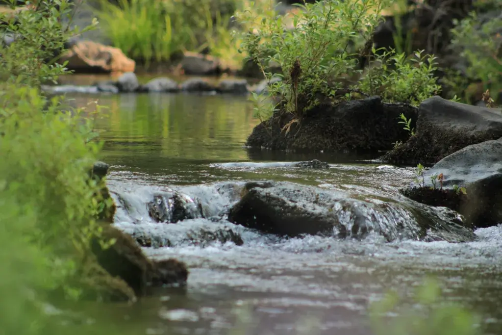 Rogue River