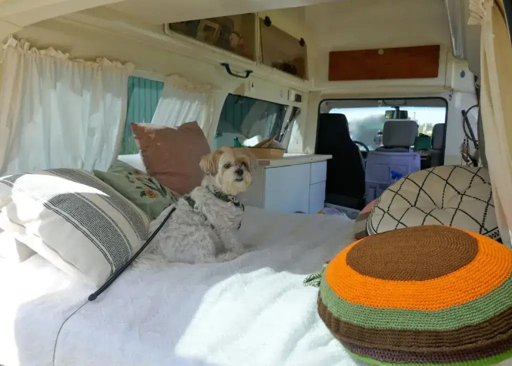 Traveling in a converted van with a dog.