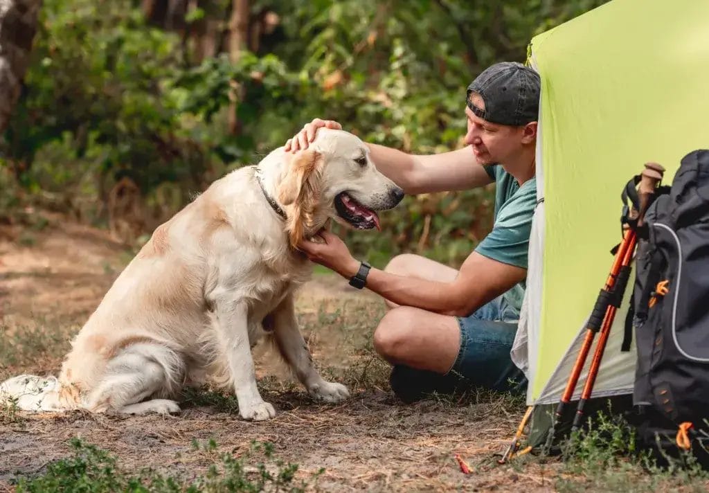Man wild camping with a dog sitting next to a tent.