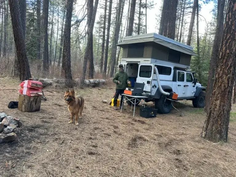 a man standing next to a truck in the woods