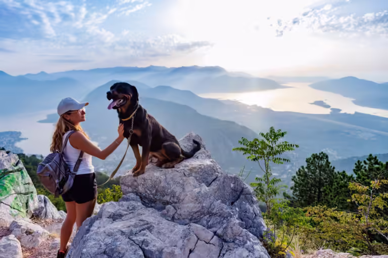 Common Outdoor Injuries in Dogs: Tips to Keep Your Furry Friend Safe and Happy