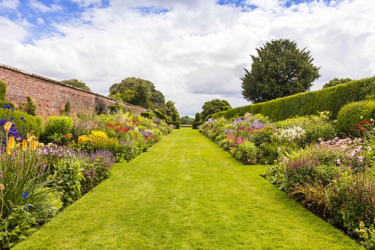 Botanical garden with lush green grass and flowers.