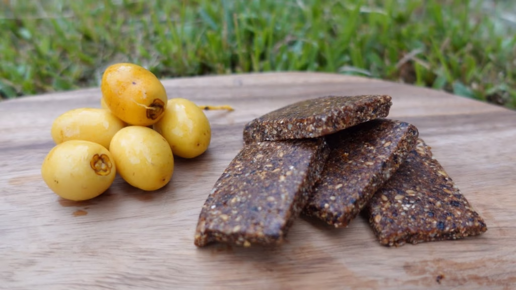 Home made energy bar.