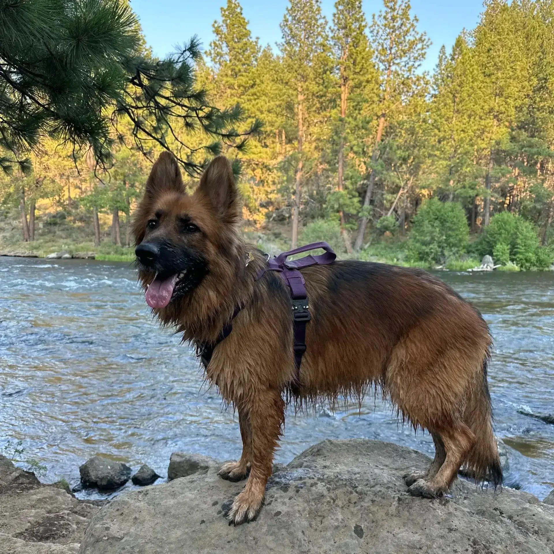 IMG 5154 edited scaled