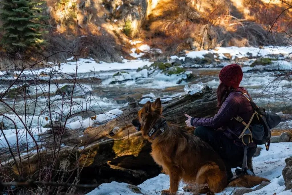 Woman and German Shepherd stopping on a hike to view a beautiful snowy river.