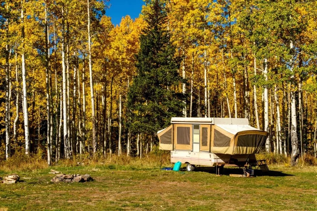 Tent camper in the woods.