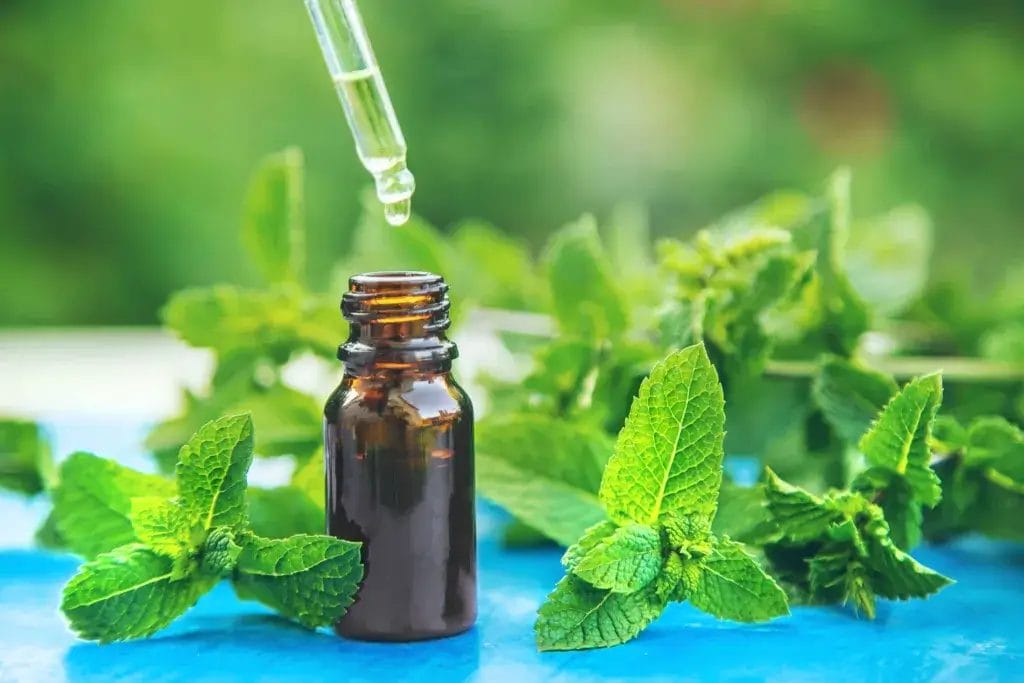 Glass and dropper surrounded by peppermint leaves.