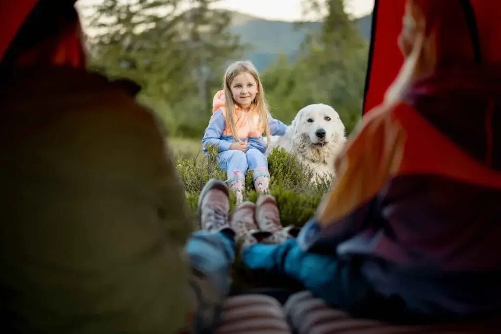 Young girl sitting next to a white dog looking into a tent.