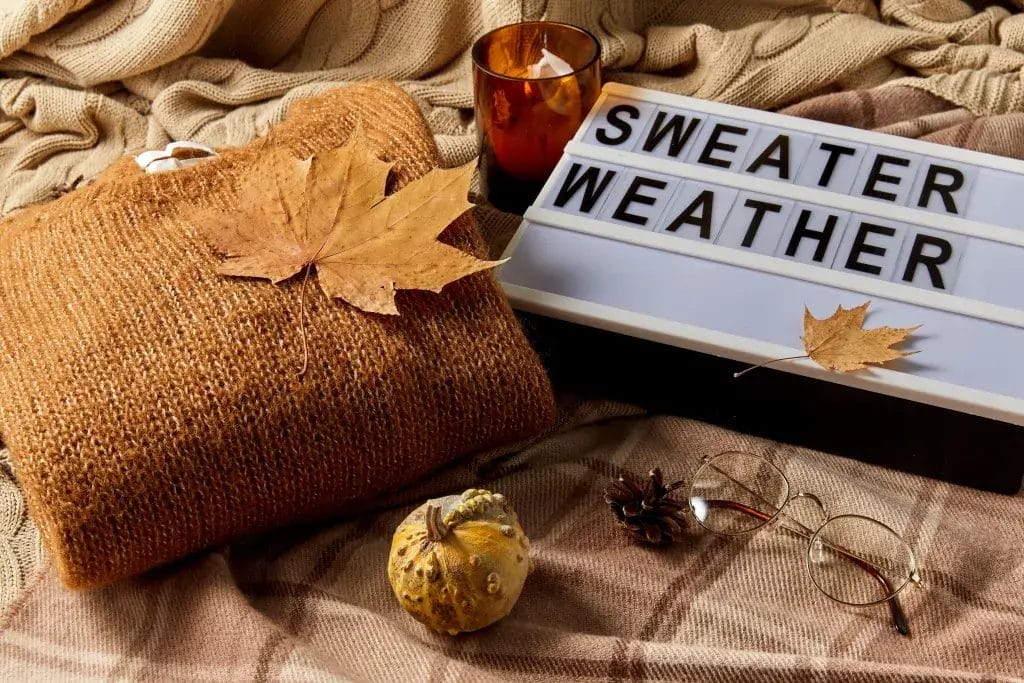 Sign that says Sweater Weather on a cozy blanket with autumn fall leaves.