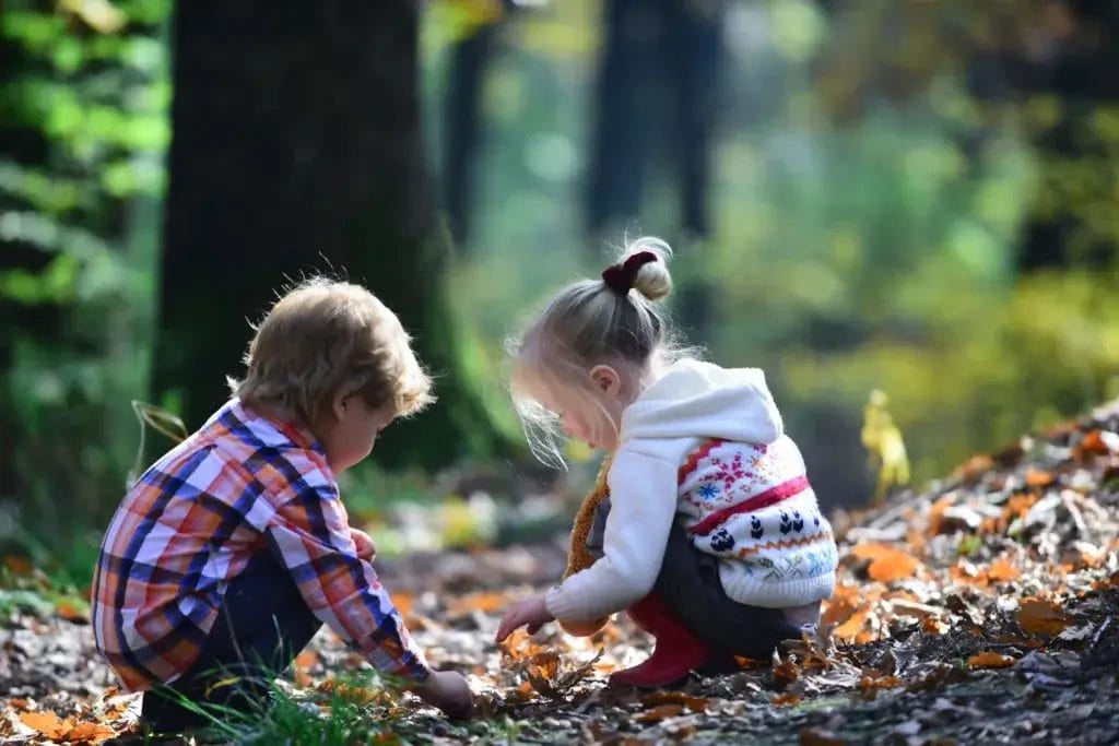 Two children are on a camping trip, playing in the leaves.