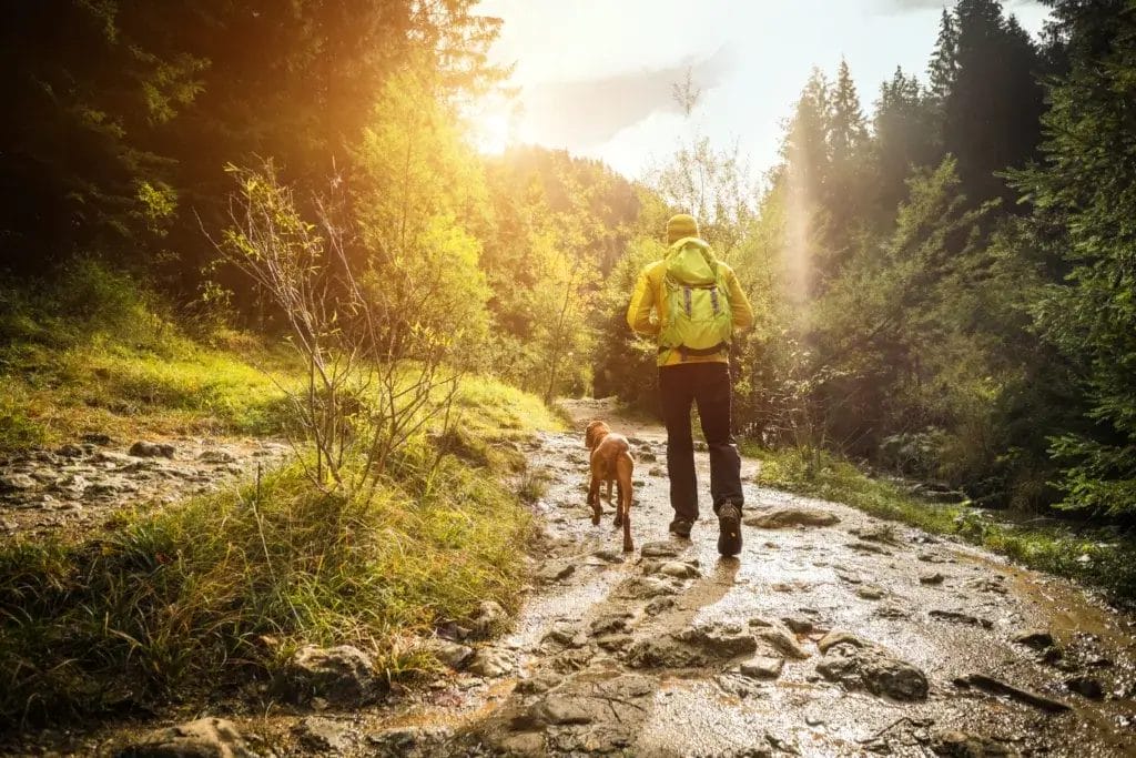 Man and dog on an autumn hike.